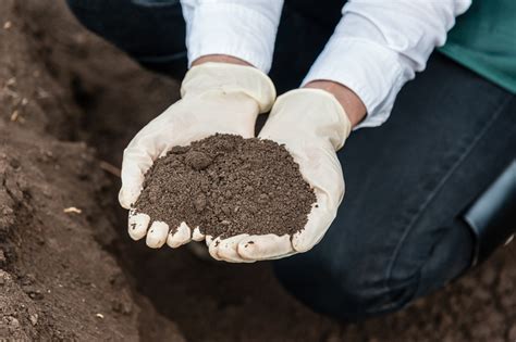 TOP 10 BEST Soil Engineer in Los Angeles, CA .